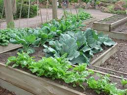 Vegetables